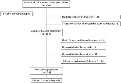 Subclinical dysfunction of remote myocardium is related to high NT-proBNP and affects global contractility at follow-up, independently of infarct area